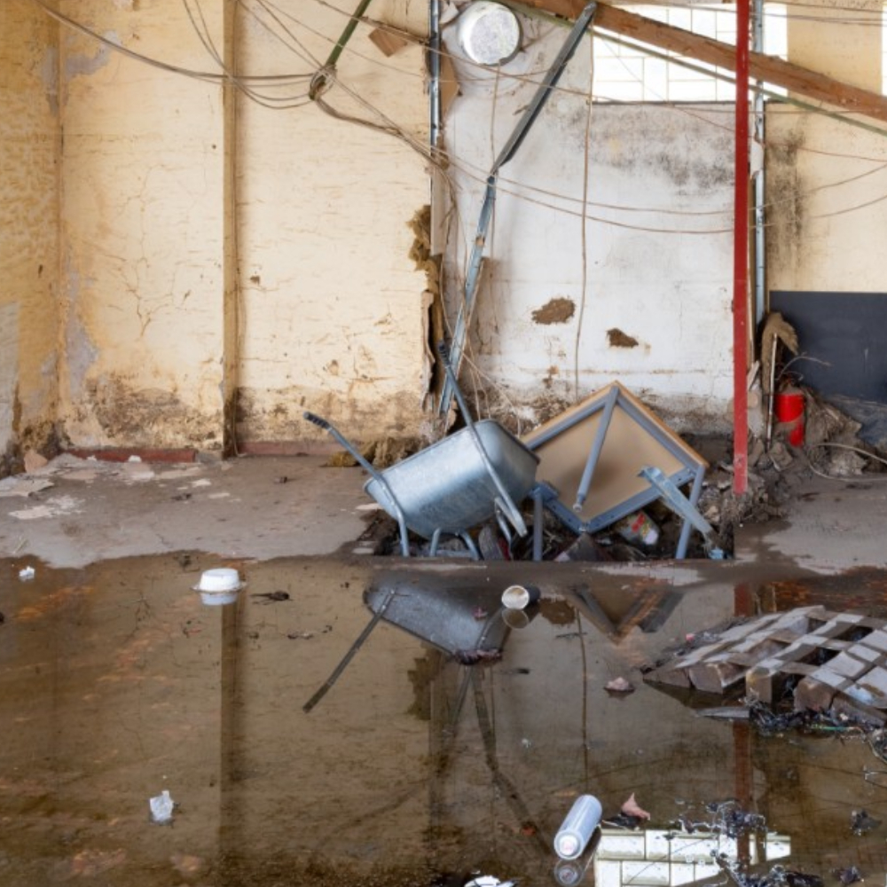 Junk Removal Cleanout Service in West Seattle