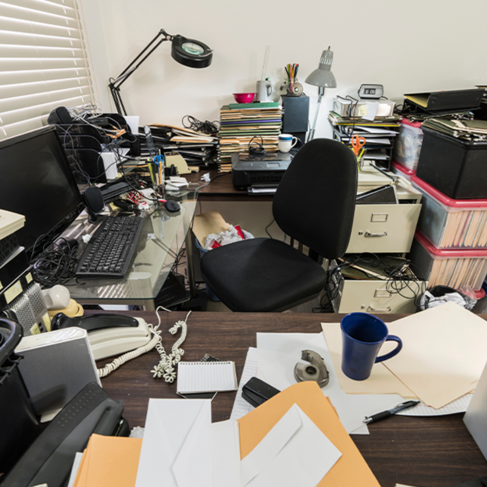 Junk Removal Cleanout Service in West Seattle