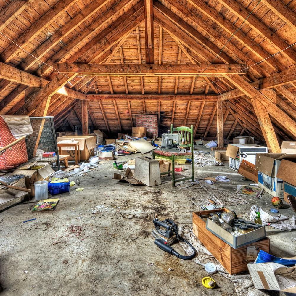 Junk Removal Cleanout Service in West Seattle